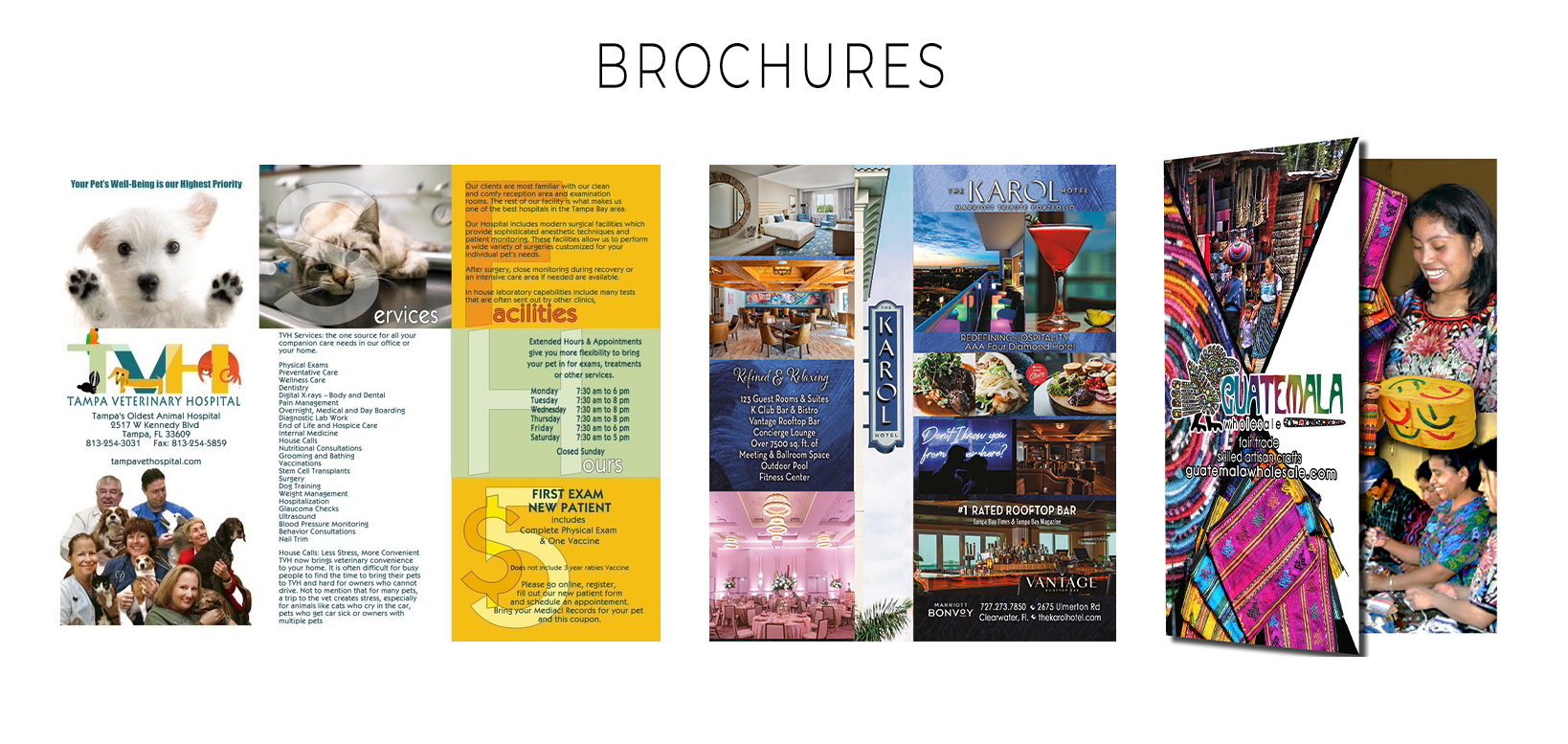 custom-series-brochures-varied biz-florida.jpg