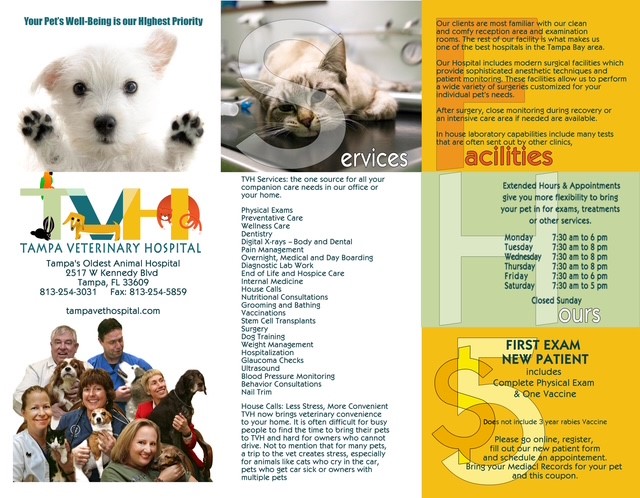 veterinary-clinic-brochure-florida.jpg